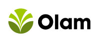 olam